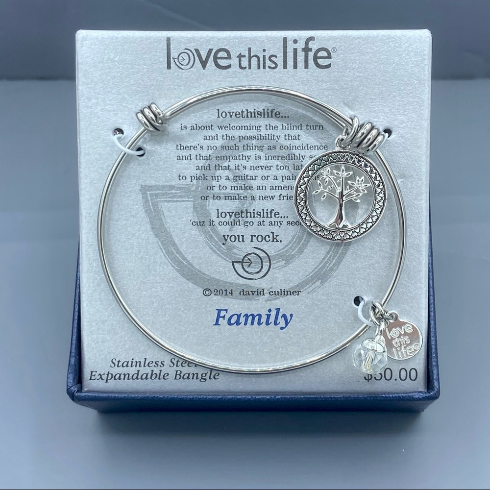 NIB Love This Life Bangle Family Charm Bracelet Stainless Steel Expandable